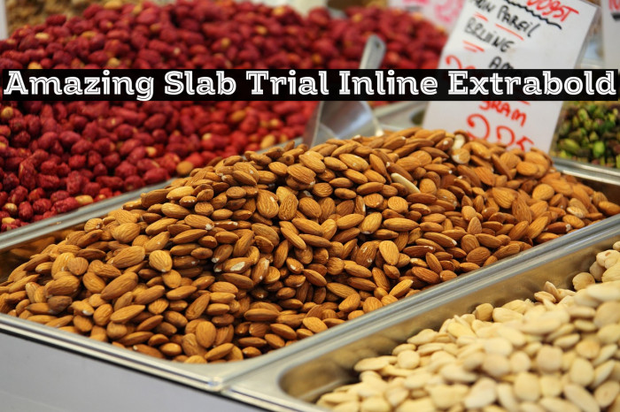 Amazing Slab Trial Inline Extrabold Example 2