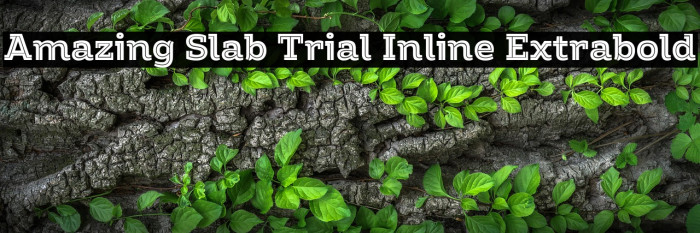 Amazing Slab Trial Inline Extrabold Example 3