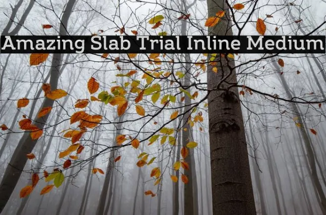 Amazing Slab Trial Inline Medium Example 1