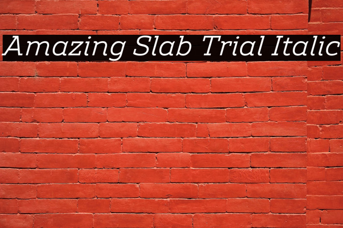 Amazing Slab Trial Italic Example 2