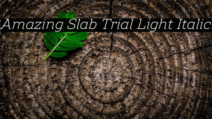 Amazing Slab Trial Light Italic Example 2