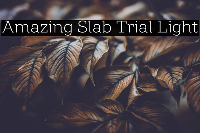 Amazing Slab Trial Light Example 1