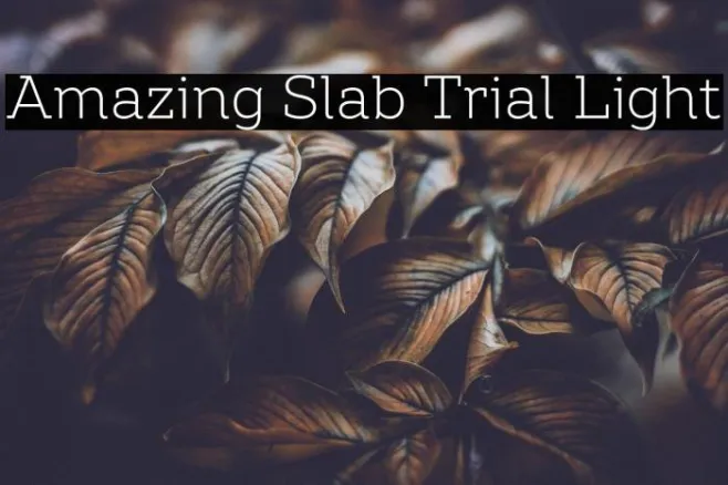 Amazing Slab Trial Light Example 1