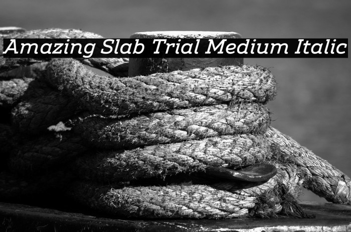 Amazing Slab Trial Medium Italic Example 2