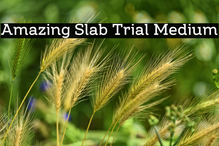 Amazing Slab Trial Medium Example 2