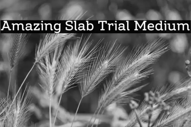 Amazing Slab Trial Medium Font examples