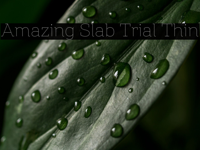 Amazing Slab Trial Thin Example 3