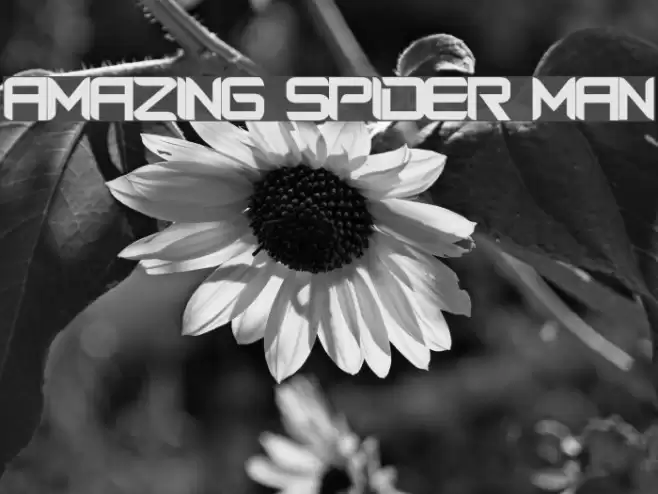 Amazing Spider Man Font examples
