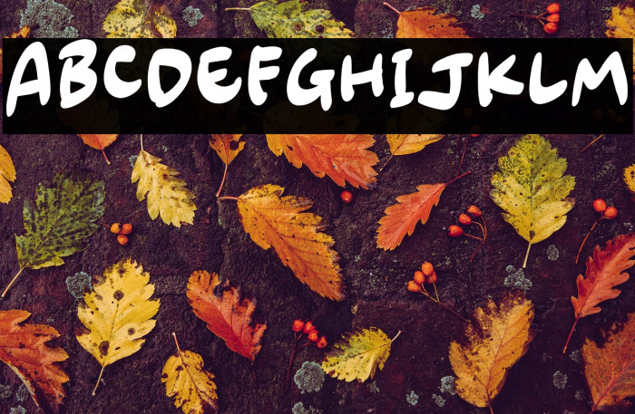 Amazing Swash Example 2