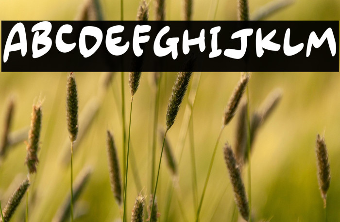 Amazing Swash Example 3