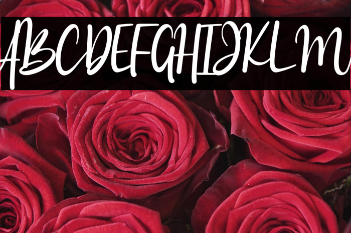 Amazing Sweety Example 3