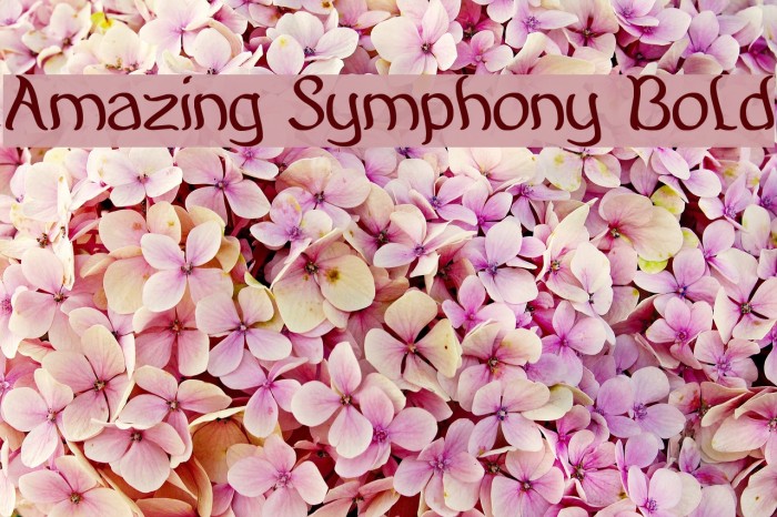 Amazing Symphony Bold Font examples