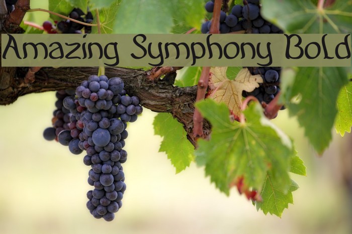 Amazing Symphony Bold Font examples