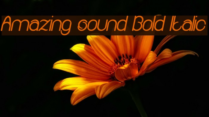 Amazing sound Bold Italic Font examples