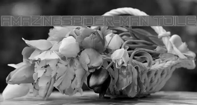 AmazingSpider-Man toile Schriftart examples