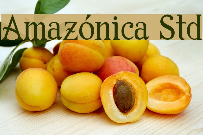 Amazónica Std Example 1