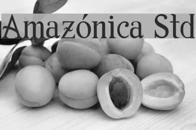 Amazónica Std Font examples