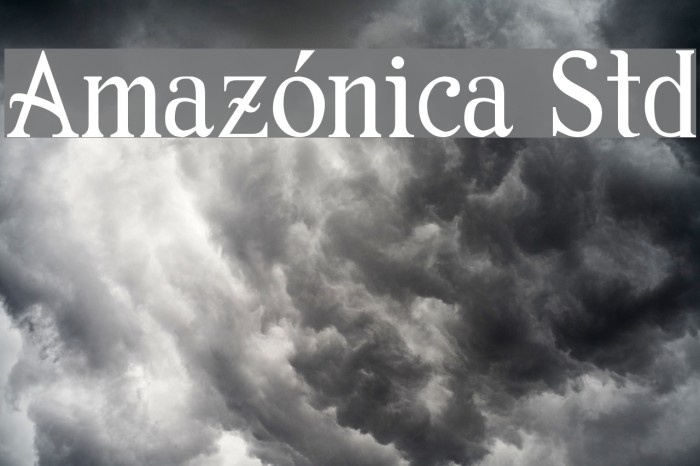 Amazónica Std Example 2