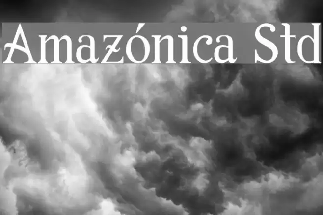 Amazónica Std Font examples