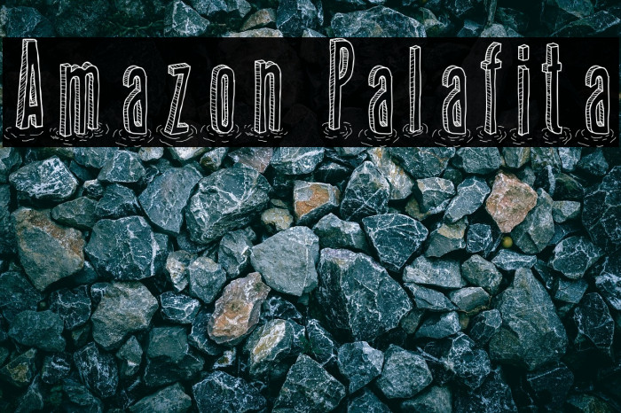 Amazon Palafita Example 1