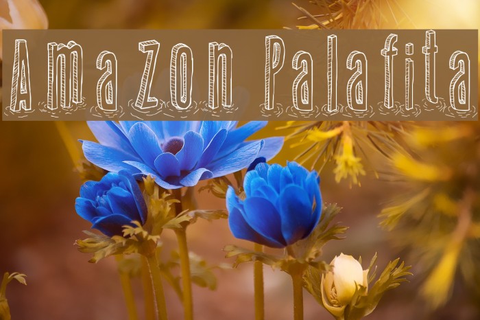 Amazon Palafita Font examples