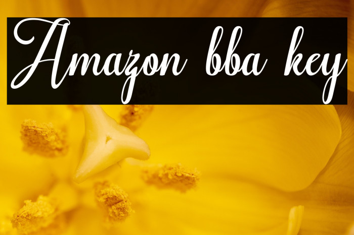 Amazon bba key Example 2