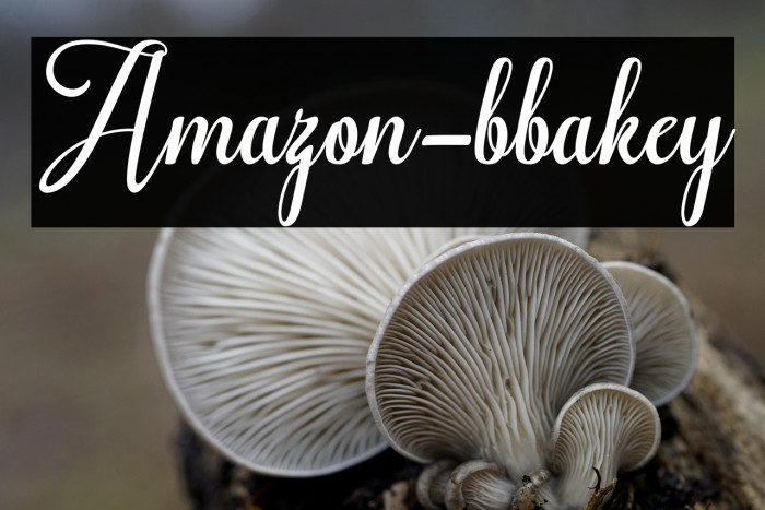 Amazon-bbakey Example 3