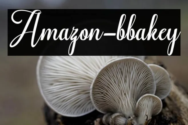Amazon-bbakey Example 3
