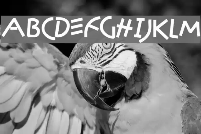 Amazon Font examples