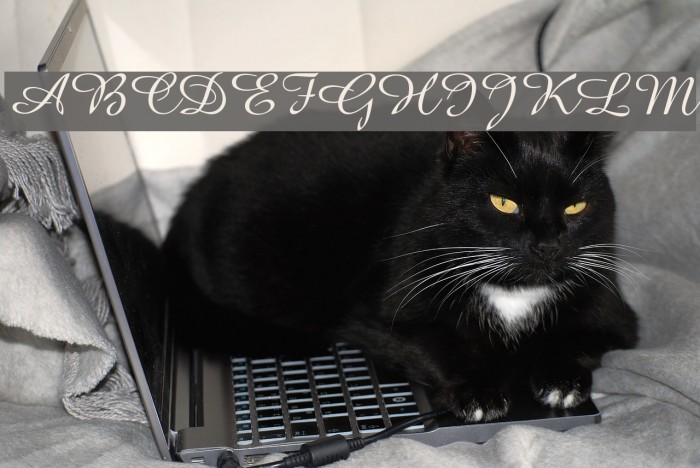 Amazone BT Example 1