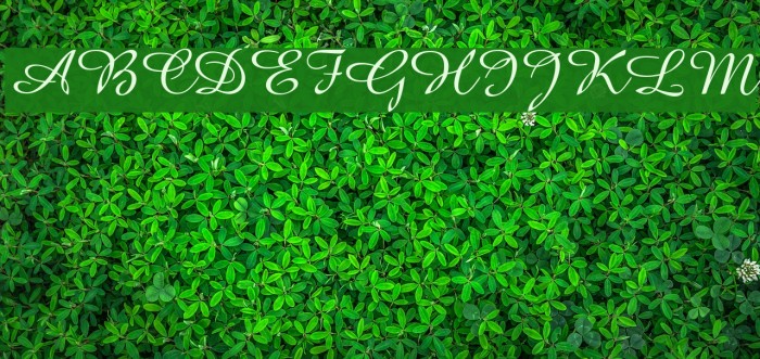 Amazone BT Example 3