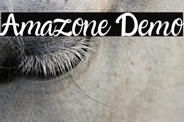 Amazone Demo Example 1