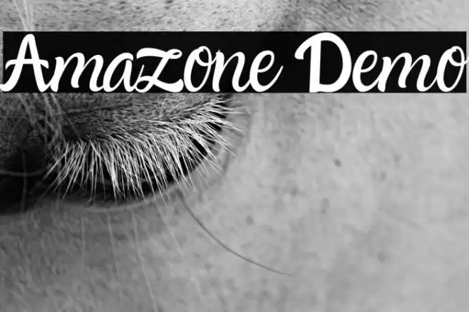Amazone Demo Font examples