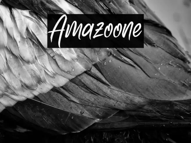 Amazoone Font examples