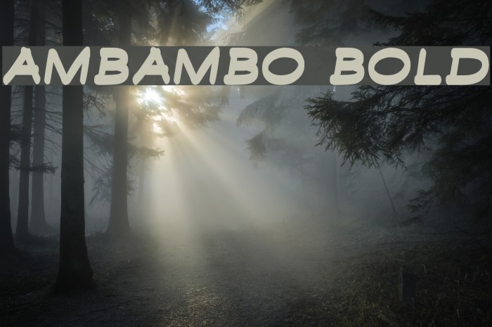 Ambambo Bold Example 1