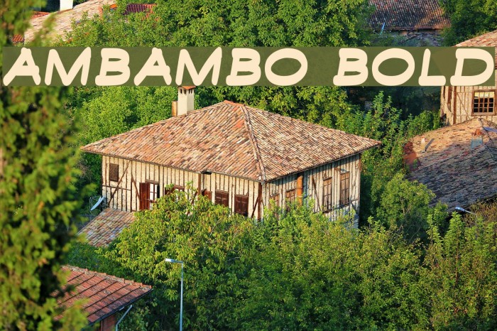 Ambambo Bold Example 3