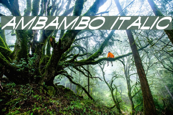 Ambambo Italic Example 3