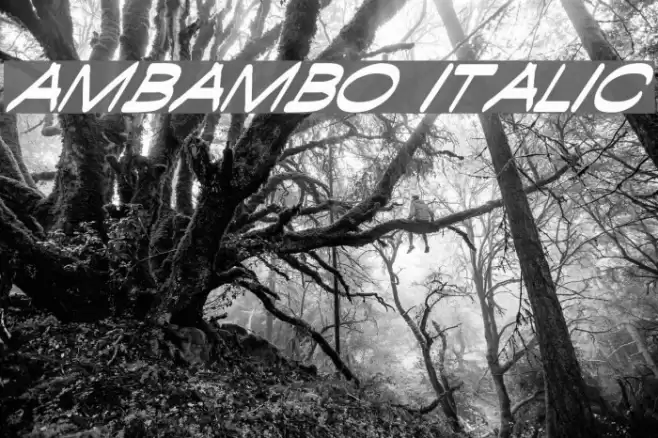 Ambambo Italic Font examples