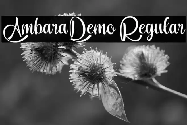 Ambara_Demo Regular Font examples