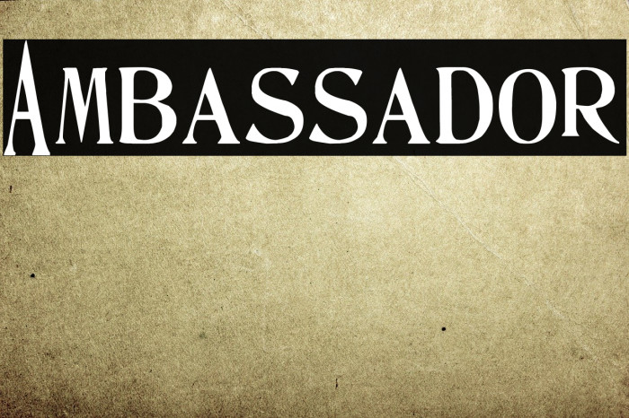 Ambassador Polices examples