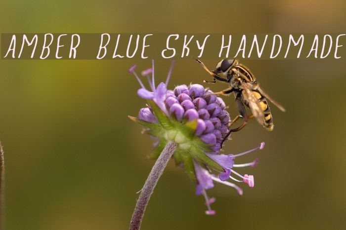 Amber Blue Sky Handmade Font examples