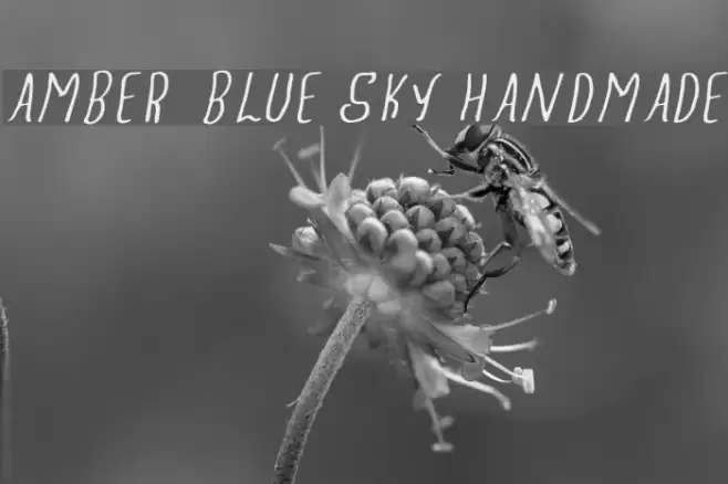 Amber Blue Sky Handmade Caratteri examples