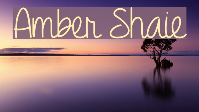 Amber Shaie Example 1