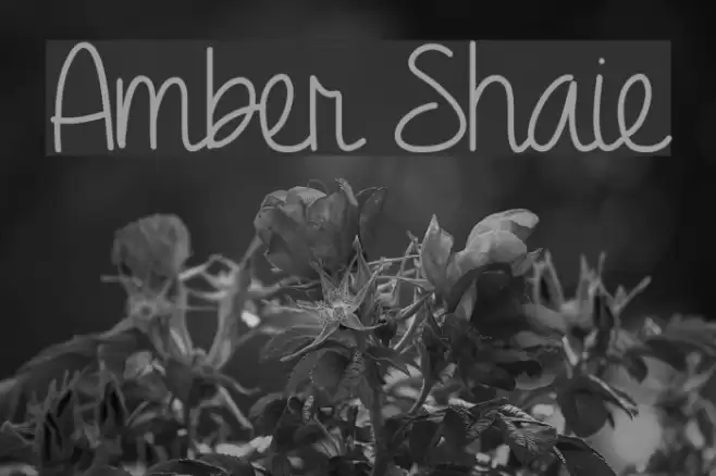 Amber Shaie Font examples