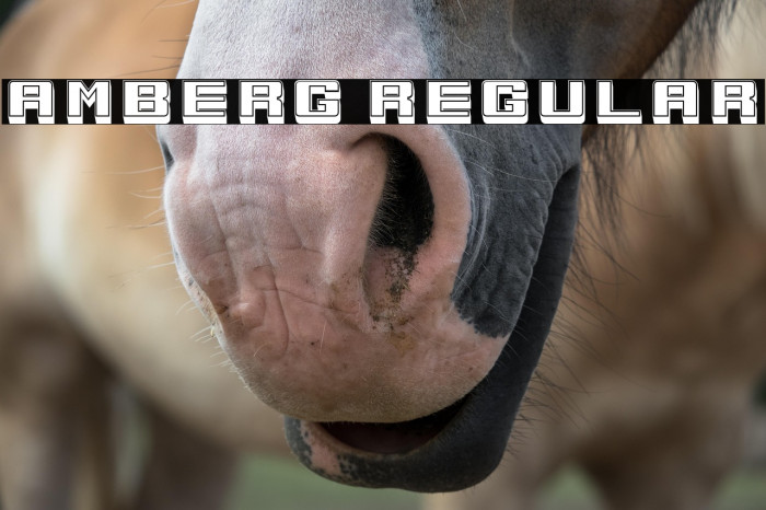 Amberg Regular Example 1