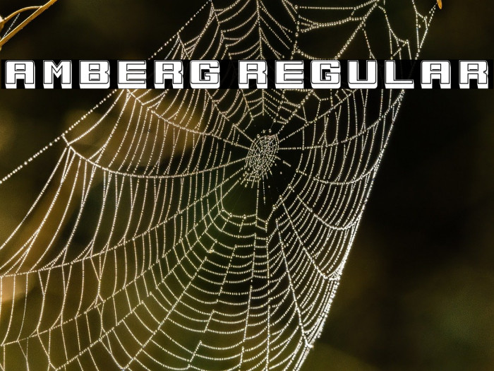 Amberg Regular Example 2