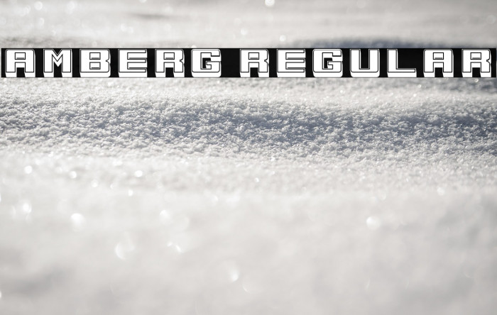 Amberg Regular Example 3