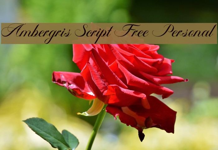 Ambergris Script Free Personal Font examples