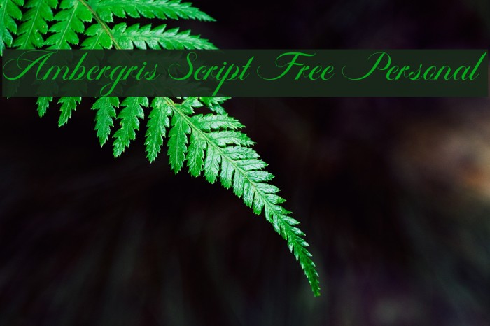 Ambergris Script Free Personal Font examples