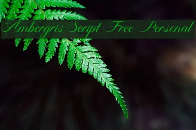 Ambergris Script Free Personal Example 2